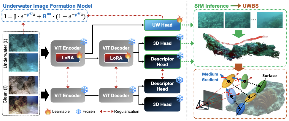 Overview of the Swimm3R pipeline: LoRA fine-tuned medium-aware SfM feeding Underwater Beta Splatting
